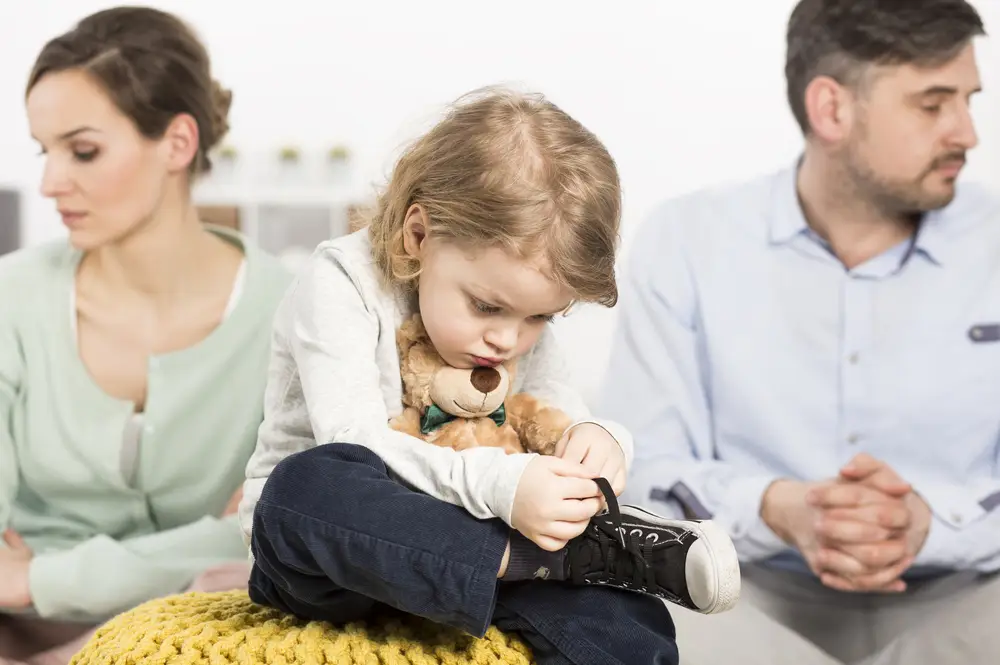 Understanding Custody Mediation in Family Law Understanding Custody Mediation in Family Law