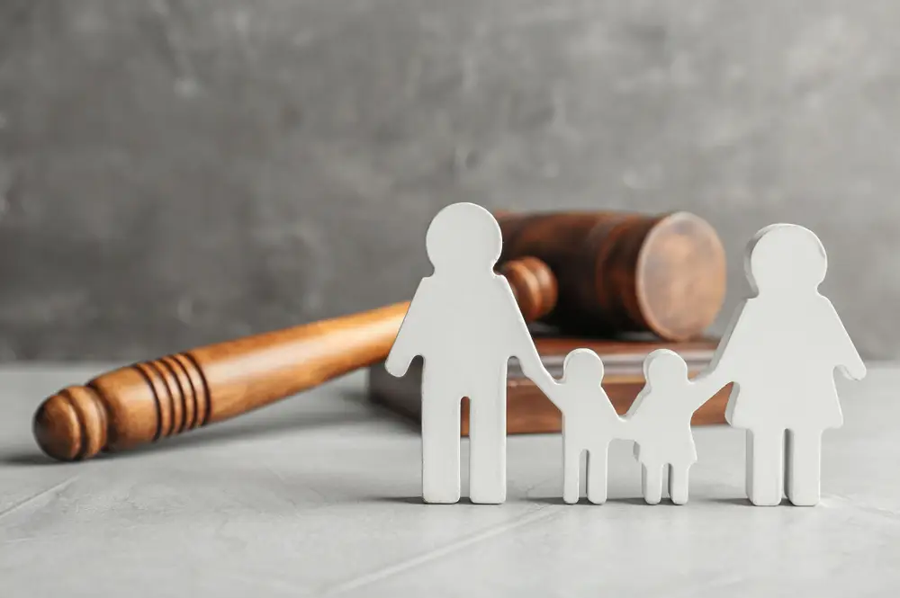 What Is “Paternity” And How Is It Taken Up In Family Law Court? What Is “Paternity” And How Is It Taken Up In Family Law Court?
